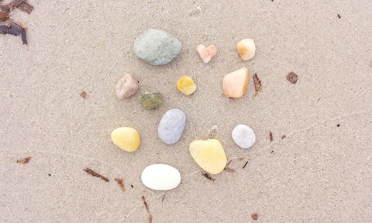 Treasures on the beach